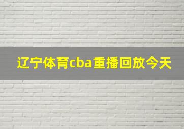 辽宁体育cba重播回放今天