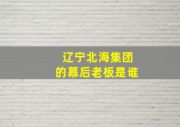 辽宁北海集团的幕后老板是谁