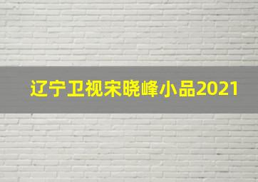 辽宁卫视宋晓峰小品2021