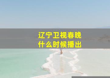 辽宁卫视春晚什么时候播出