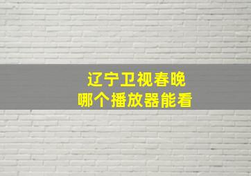 辽宁卫视春晚哪个播放器能看