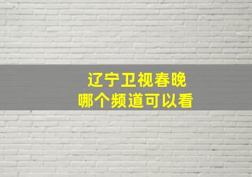 辽宁卫视春晚哪个频道可以看