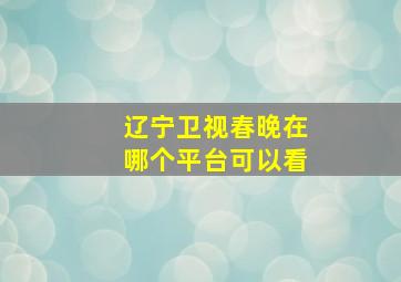 辽宁卫视春晚在哪个平台可以看