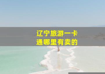 辽宁旅游一卡通哪里有卖的