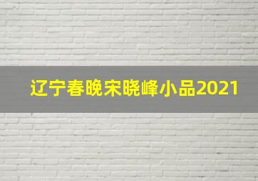 辽宁春晚宋晓峰小品2021