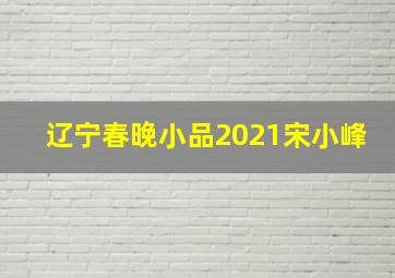 辽宁春晚小品2021宋小峰