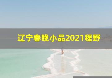 辽宁春晚小品2021程野