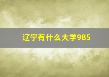 辽宁有什么大学985