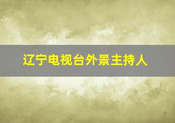 辽宁电视台外景主持人