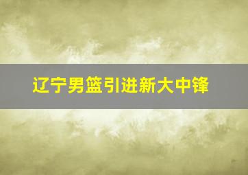 辽宁男篮引进新大中锋