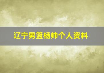 辽宁男篮杨帅个人资料