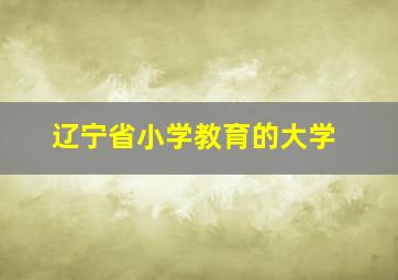 辽宁省小学教育的大学