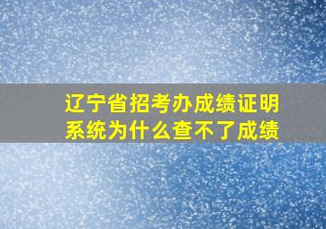 辽宁省招考办成绩证明系统为什么查不了成绩