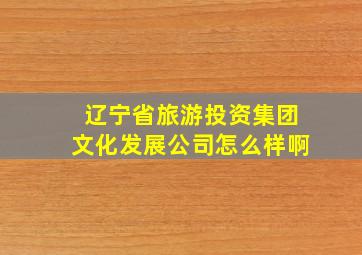 辽宁省旅游投资集团文化发展公司怎么样啊