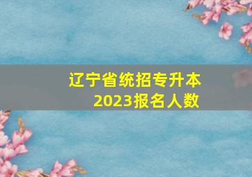 辽宁省统招专升本2023报名人数