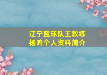 辽宁蓝球队主教练杨鸣个人资料简介