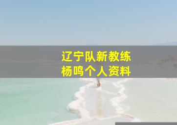 辽宁队新教练杨鸣个人资料