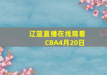 辽篮直播在线观看CBA4月20日