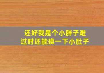 还好我是个小胖子难过时还能摸一下小肚子