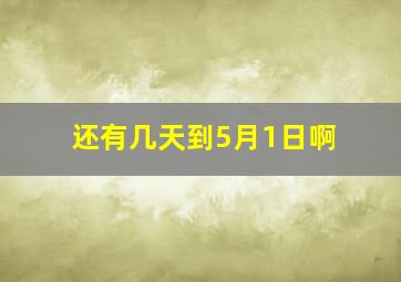 还有几天到5月1日啊