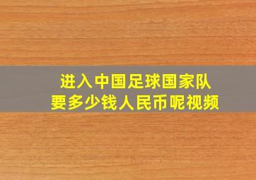 进入中国足球国家队要多少钱人民币呢视频