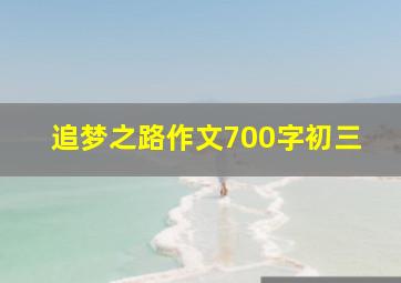 追梦之路作文700字初三