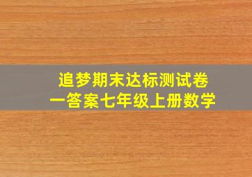 追梦期末达标测试卷一答案七年级上册数学