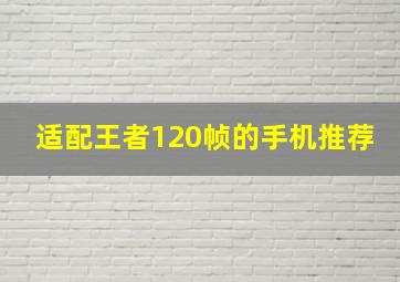 适配王者120帧的手机推荐