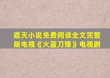 遮天小说免费阅读全文完整版电视《火蓝刀锋》电视剧