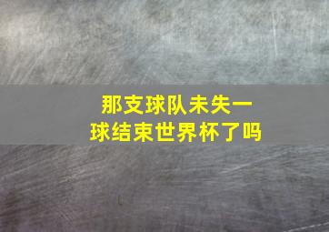 那支球队未失一球结束世界杯了吗