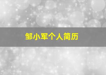 邹小军个人简历