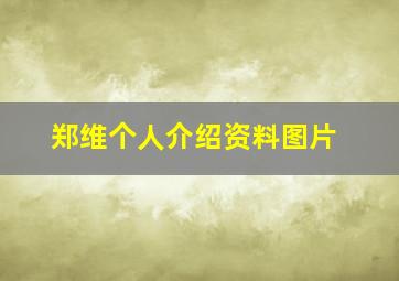 郑维个人介绍资料图片