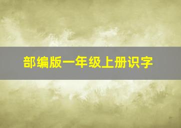 部编版一年级上册识字