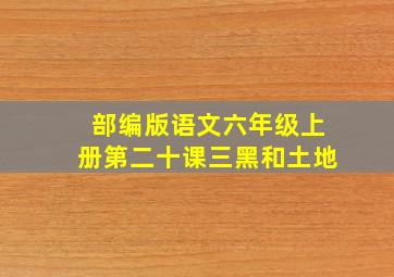 部编版语文六年级上册第二十课三黑和土地