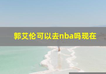 郭艾伦可以去nba吗现在