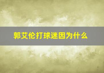 郭艾伦打球迷因为什么