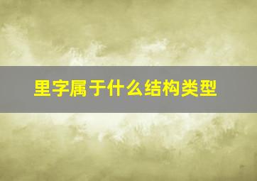 里字属于什么结构类型