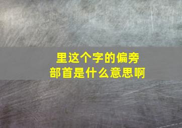 里这个字的偏旁部首是什么意思啊