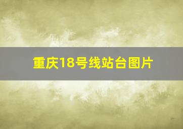 重庆18号线站台图片