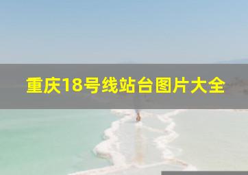 重庆18号线站台图片大全