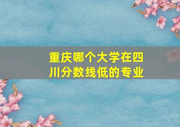 重庆哪个大学在四川分数线低的专业