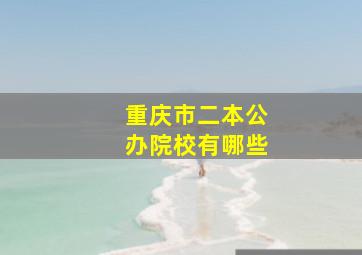 重庆市二本公办院校有哪些