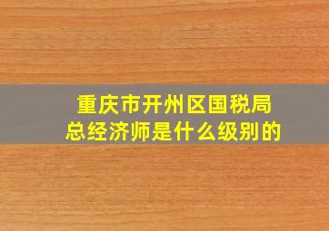 重庆市开州区国税局总经济师是什么级别的