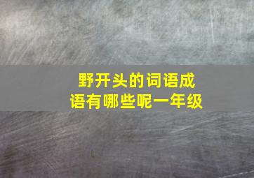 野开头的词语成语有哪些呢一年级