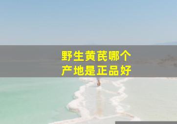 野生黄芪哪个产地是正品好