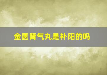 金匮肾气丸是补阳的吗