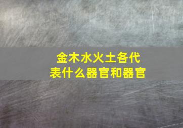 金木水火土各代表什么器官和器官