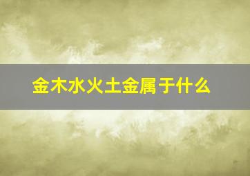 金木水火土金属于什么