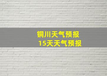 铜川天气预报15天天气预报