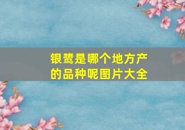 银鹭是哪个地方产的品种呢图片大全